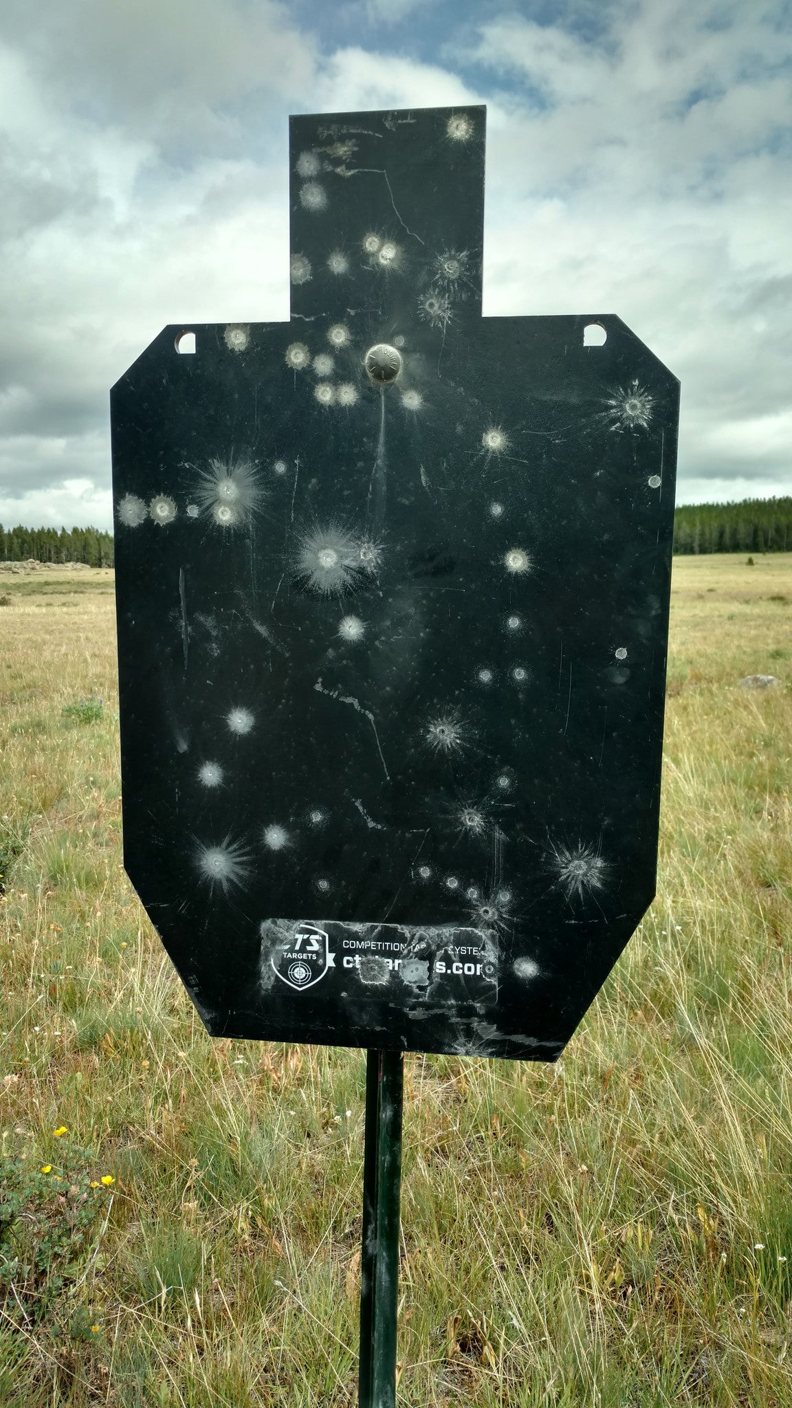 AR500 Steel Shooting Target - 1/2 Inch Thick Rifle Rated Gong Silhouette For Precision Training
